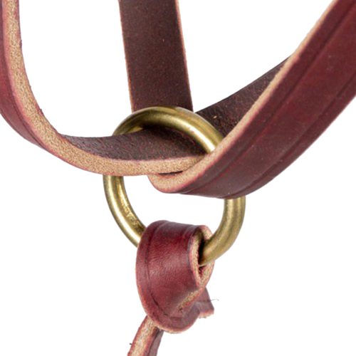 Weaver Figure 8 Foal Show Halter