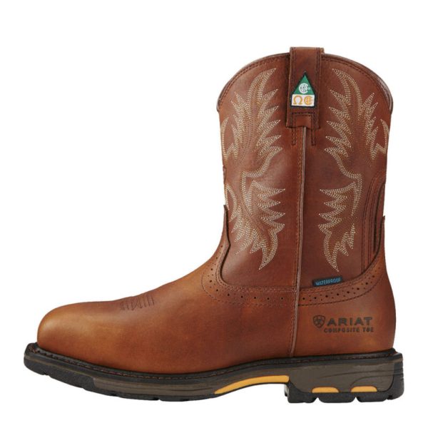 Ariat Boots & Clothing  Order Ariat Clothing & Boots for Men and