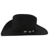 Stetson Men's Apache 4X Buffalo Felt Hat